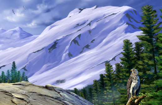 603923 (a): :2400x1565